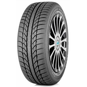 GT Radial Champiro Winterpro